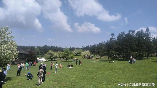 纯玩吃喝玩乐全包金旅假日重庆旅游指南pg电子模拟器试玩重庆旅游3日深度(图3)