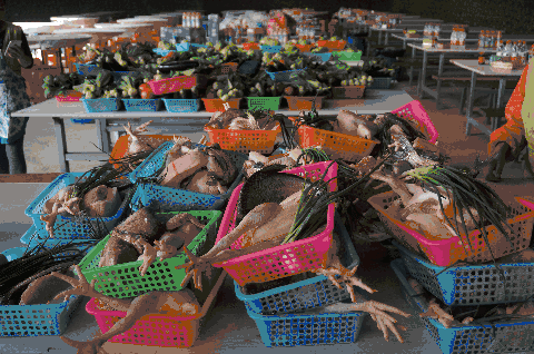 局之道：72个情绪价值营造标杆案例pg电子免费模拟器旅游餐饮场景破(图22)