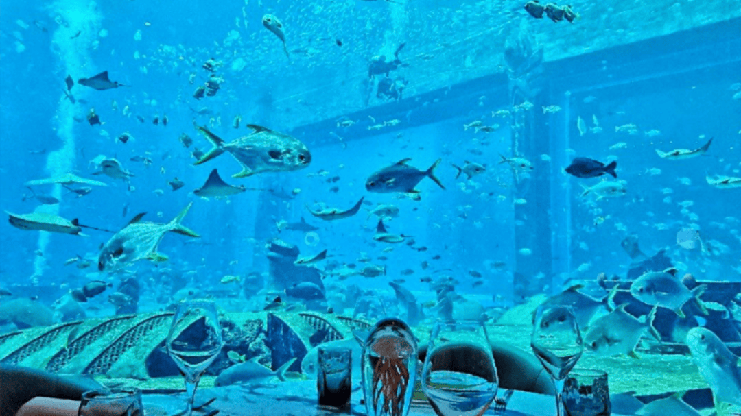 局之道：72个情绪价值营造标杆案例pg电子免费模拟器旅游餐饮场景破(图70)