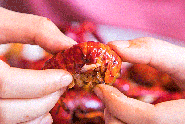 局之道：72个情绪价值营造标杆案例pg电子免费模拟器旅游餐饮场景破(图87)