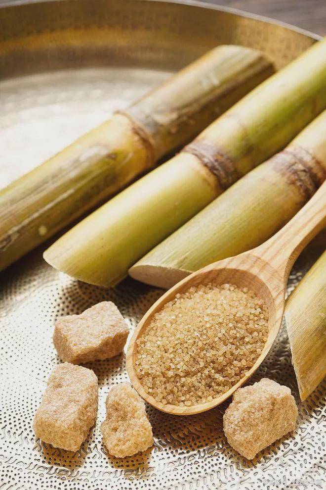 蒙了中国美食的半壁江山电子pg游戏印度至少启(图23)