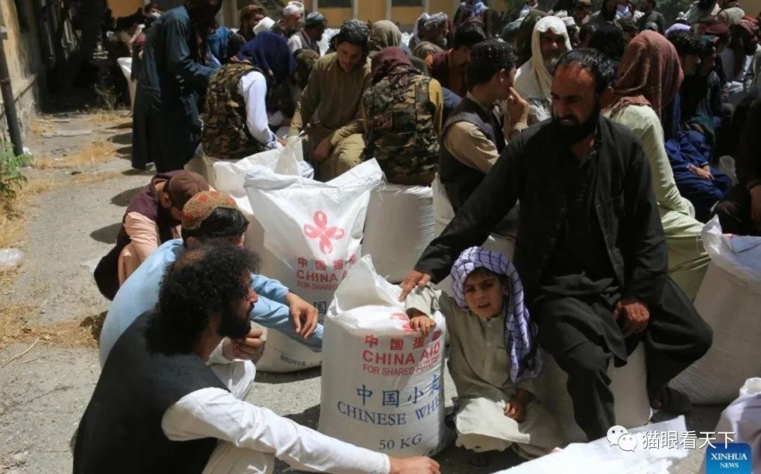 叙利亚乌贼们瞬间沉默无语pg电子入口美国再次突袭(图1) 叙利亚乌贼们瞬间沉默无语pg电子入口美国再次突袭(图1)