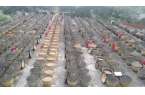 年匠心酿岁月 薪火相传谱新篇pg模拟器试