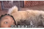 火！身价飙升至10万美元狗主人被扒pg模